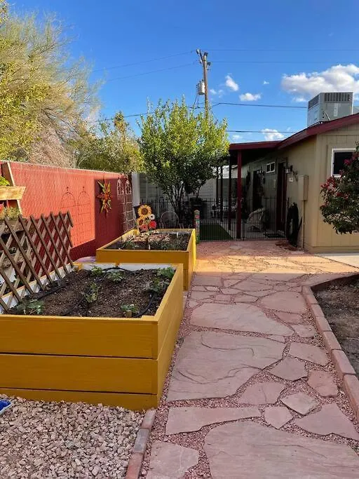 Encanto Cactus Flower Casita Phoenix